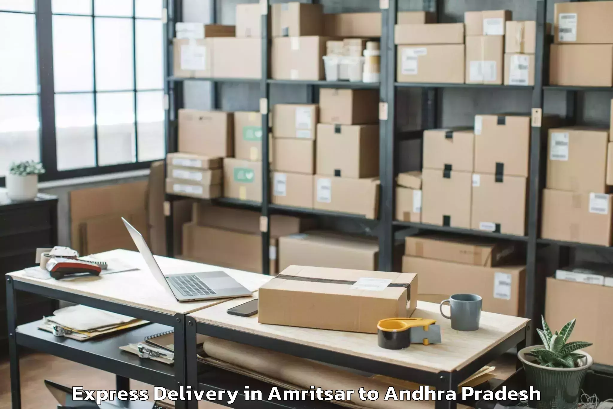 Quality Amritsar to Gudluru Express Delivery